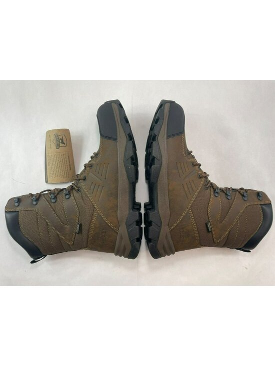 Irish Setter 10\